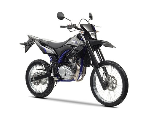 WR 125 R 2009-2017 (DE071, 22B)
